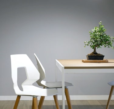 A simple room with desk with chairs and a bonsai tree on the table.